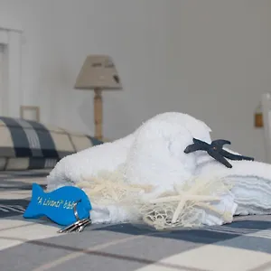 Bed & Breakfast 